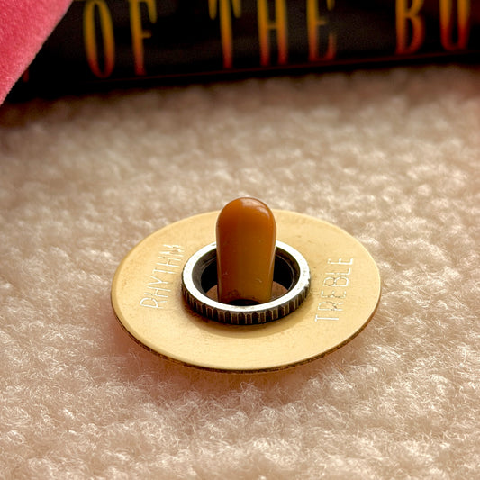 一点もの • 1959 レスポール ポーカーチップバンドル